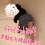 ヒメ日記 2026/07/05 13:20 投稿 アズサ(奥方) 奥様幕府