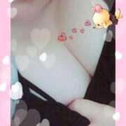 アズサ(奥方) 🧸💌 奥様幕府