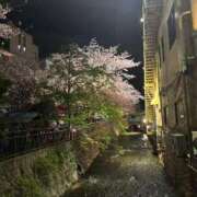 ヒメ日記 2025/04/10 00:53 投稿 深雪まりあ＠女装娘ハンター アナラードライ