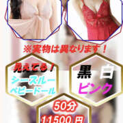 ヒメ日記 2025/04/08 15:17 投稿 早瀬もも ミセスハンズ