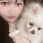 ヒメ日記 2025/03/21 19:29 投稿 まゆ ギャルズネットワーク大阪