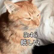 ヒメ日記 2026/07/17 09:02 投稿 ゆり 40代からのリアル鹿児島美熟女 REBORN リボン