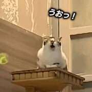 ヒメ日記 2026/08/08 09:03 投稿 ゆり 40代からのリアル鹿児島美熟女 REBORN リボン