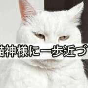 ヒメ日記 2026/08/23 05:00 投稿 ゆり 40代からのリアル鹿児島美熟女 REBORN リボン