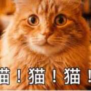 ヒメ日記 2026/10/03 10:30 投稿 ゆり 40代からのリアル鹿児島美熟女 REBORN リボン
