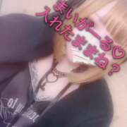 ヒメ日記 2026/03/16 15:23 投稿 みけ【小悪魔サキュバスちゃん】 STELLA TOKYO－ステラトウキョウ－