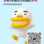 ヒメ日記 2026/03/17 17:45 投稿 みけ【小悪魔サキュバスちゃん】 STELLA TOKYO－ステラトウキョウ－