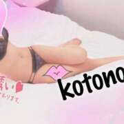 ヒメ日記 2025/06/08 13:22 投稿 風吹　ことの エテルナ彦根