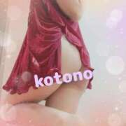 ヒメ日記 2025/07/28 12:28 投稿 風吹　ことの エテルナ彦根