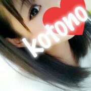 ヒメ日記 2026/04/02 12:56 投稿 風吹　ことの エテルナ彦根