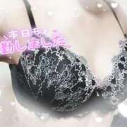 ヒメ日記 2025/04/02 12:03 投稿 神崎 新宿人妻城