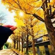 ヒメ日記 2024/12/12 13:13 投稿 ゆう 多恋人倶楽部（山口）