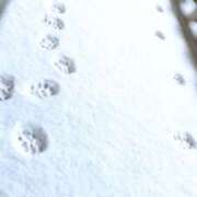 ヒメ日記 2025/01/10 10:14 投稿 ゆう 多恋人倶楽部（山口）