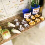 ヒメ日記 2025/01/27 14:41 投稿 ゆう 多恋人倶楽部（山口）