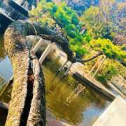 ヒメ日記 2025/03/05 13:10 投稿 ゆう 多恋人倶楽部（山口）