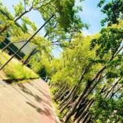 ヒメ日記 2025/05/20 16:10 投稿 ゆう 多恋人倶楽部（山口）