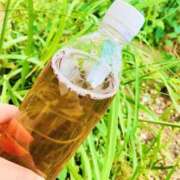 ヒメ日記 2025/06/27 10:44 投稿 ゆう 多恋人倶楽部（山口）