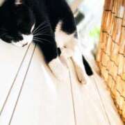 ヒメ日記 2025/09/03 16:32 投稿 ゆう 多恋人倶楽部（山口）