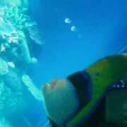 ヒメ日記 2025/09/18 21:42 投稿 ゆう 多恋人倶楽部（山口）