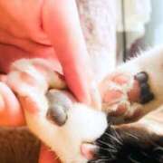 ヒメ日記 2025/10/30 17:12 投稿 ゆう 多恋人倶楽部（山口）