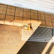 ヒメ日記 2025/11/11 12:10 投稿 ゆう 多恋人倶楽部（山口）