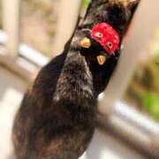 ヒメ日記 2026/02/03 14:55 投稿 ゆう 多恋人倶楽部（山口）