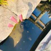 ヒメ日記 2026/02/20 15:46 投稿 ゆう 多恋人倶楽部（山口）