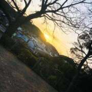 ヒメ日記 2026/03/05 18:03 投稿 ゆう 多恋人倶楽部（山口）