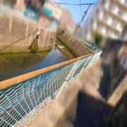 ヒメ日記 2026/03/26 12:03 投稿 ゆう 多恋人倶楽部（山口）