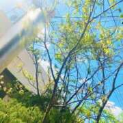 ヒメ日記 2026/04/16 09:04 投稿 ゆう 多恋人倶楽部（山口）