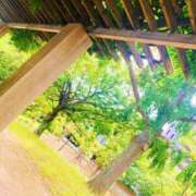 ヒメ日記 2026/06/15 11:00 投稿 ゆう 多恋人倶楽部（山口）