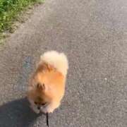 ヒメ日記 2025/05/12 18:21 投稿 心◆こころ 人妻吐息