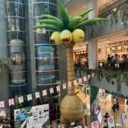 ヒメ日記 2025/11/26 12:51 投稿 心◆こころ 人妻吐息