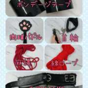 ヒメ日記 2026/04/08 23:16 投稿 咲名(さきな) フェチM性感　極嬢　ageHa