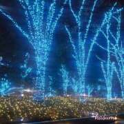 ヒメ日記 2024/12/16 01:14 投稿 架純 東京人妻フォーシーズンズ