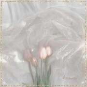 ヒメ日記 2026/01/04 22:14 投稿 架純 東京人妻フォーシーズンズ