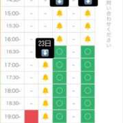 ヒメ日記 2024/11/22 23:45 投稿 深海から現れた『アリエル』 グッドスマイル