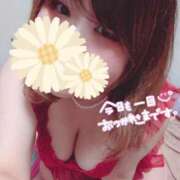 ヒメ日記 2026/04/05 20:06 投稿 谷山 熟女の風俗最終章　鶯谷店