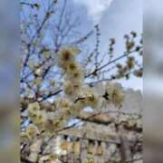 ヒメ日記 2025/02/21 15:45 投稿 りん 完熟ばなな新宿