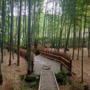 ヒメ日記 2025/03/03 09:55 投稿 りん 完熟ばなな新宿