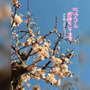 ヒメ日記 2025/03/10 09:45 投稿 りん 完熟ばなな新宿