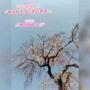 ヒメ日記 2025/03/25 10:15 投稿 りん 完熟ばなな新宿