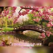 ヒメ日記 2025/04/30 08:57 投稿 りん 完熟ばなな新宿