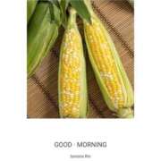 ヒメ日記 2025/05/27 09:35 投稿 りん 完熟ばなな新宿