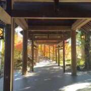 ヒメ日記 2025/12/31 20:35 投稿 りん 完熟ばなな新宿