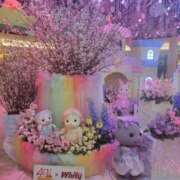 ヒメ日記 2025/03/17 17:55 投稿 えま clubさくら梅田店