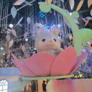 ヒメ日記 2025/03/27 07:45 投稿 えま clubさくら梅田店