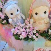 ヒメ日記 2025/04/08 20:05 投稿 えま clubさくら梅田店