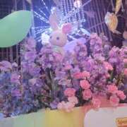 ヒメ日記 2025/04/11 16:05 投稿 えま clubさくら梅田店