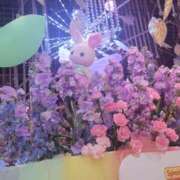 ヒメ日記 2025/04/15 08:25 投稿 えま clubさくら梅田店